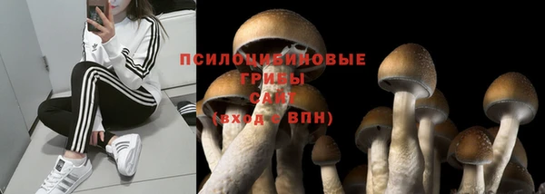 ГАЛЛЮЦИНОГЕННЫЕ ГРИБЫ Армянск