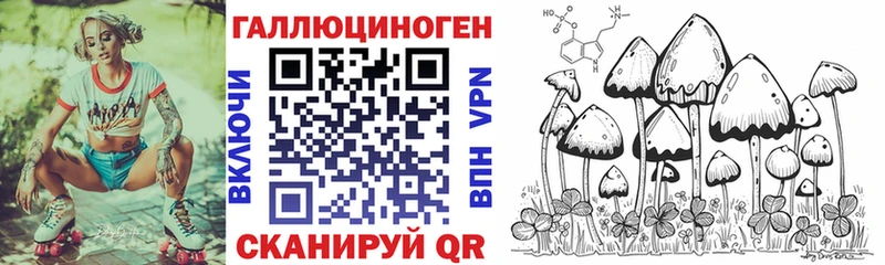 Псилоцибиновые грибы Psilocybe Николаевск